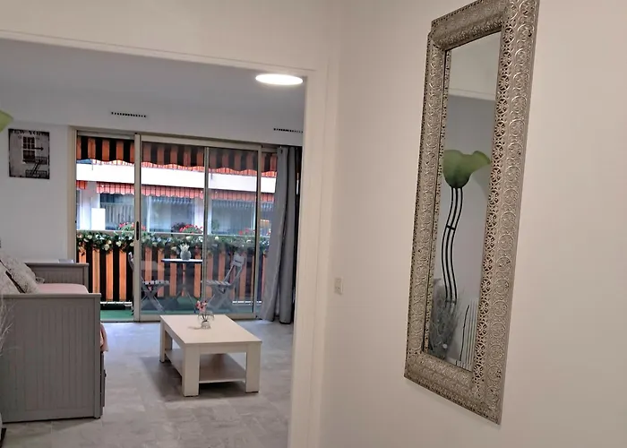 Grand 2 Pieces Centre Appartement